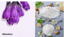 Mengenal Allantoin, Bahan Kecantikan yang Kaya Manfaat