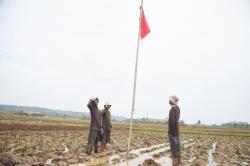 Anggota DPR RI Dedi Mulyadi Kibarkan Bendera Merah Putih di Tengah Sawah Bersama Petani
