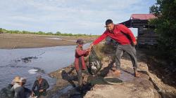 BUMG Kuala Parek Kembali Panen Ikan Bandeng