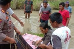 Hilang Selama 5 Bulan, Nenek Romina Ditemukan di Kolam Setelah Datang ke Mimpi Anaknya