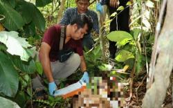 Geger! Mayat Pria Ditemukan Tanpa Busana di Kebun