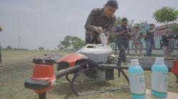 Permudah Petani, Pupuk Kujang dan IPB Gunakan Drone Untuk Semprotkan Pupuk Daun di Subang
