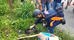 Geger, Mayat Bayi Dibungkus Tas Belanja Ditemukan di Kebun