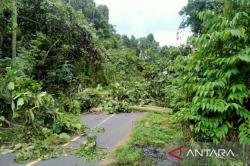 Demo Blokir Jalan Antarkabupaten, Kapolda Papua Barat Imbau Warga Sampaikan Aspirasi dengan Damai