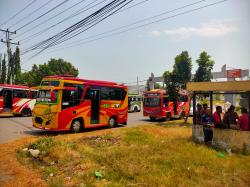 Imbas BBM Naik, Puluhan Sopir Elf di Kota Tegal Mogok Massal