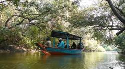 Banjir Mengancam Surabaya, Sungai Mangrove Wonorejo Menyempit