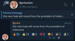 Gawat! Presiden Indonesia Jadi Target Ancaman Hacker Bjorka