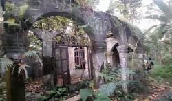 Banyak Pohon Besar dan Mistis, Berikut Enam Fakta Desa Dukuh Mingkrik yang Ditinggalkan