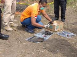 ASN Saksi Kasus Korupsi Diduga Dibakar, Polisi Ambil Sampel DNA Keluarga ASN