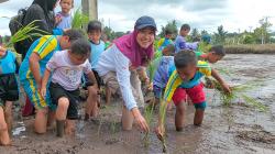 Desa Namang Kenalkan Dunia Pertanian Sawah ke Anak-Anak Paud dan SD