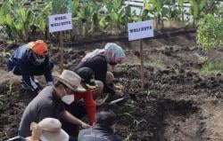 Gerakan Tanam, Strategi Cerdas Pemkot Batu Tekan Inflasi di Indonesia