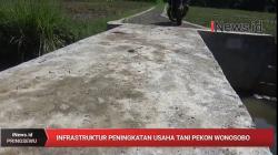 Infrastruktur Peningkatan Ekonomi Usaha Pertanian di Tanggamus