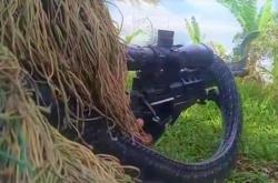 Sniper Kopasgat TNI AU Dililit Ular King Kobra, Begini Penampakannya