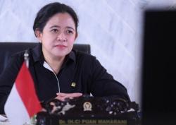 Ada Dewan Kolonel di DPR RI yang Bertugas Dongkrak Popularitas Puan Maharani, PDIP : Guyonan