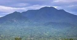 Cerita Misteri Pasar Setan di Gunung Lawu, Transaksi Jual Beli dengan Daun