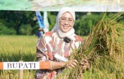 Inilah Sosok Anne Ratna Mustika  Bupati Purwakarta 19 Tahun Menikah Gugat Cerai Dedi Mulyadi,