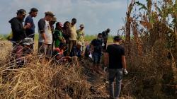 Geger, Petani Temukan Tengkorak Manusia di Lahan Eks Kebun Tebu Manyingsal