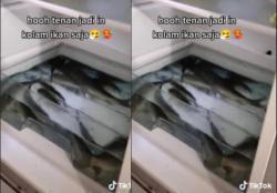 Video Kulkas Dijadikan Tempat Ternak Ikan Viral