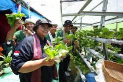 KPI RU IV Cilacap Ciptakan Legacy Keberlanjutan Energi di Green House Hidroponik KB Gadis