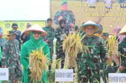 Panen Raya Padi Variatas Cakrabuana Demplot Kodim 0611/Garut