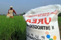 Atasi Kelangkaan Pupuk, Dhafir Turun Gunung