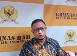 Komnas HAM Jenguk Keluarga Korban dan Aremania, Investigasi Kericuhan di Kanjuruhan