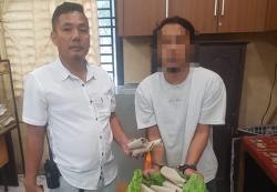 Gerebek Kos-kosan, Polsek Medan Timur Sita Hampir 1 Kg Ganja Siap Edar