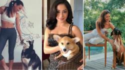 Artis Cantik Suka Memelihara Anjing, Nomor 3 Beragama Islam Memiliki 2 Anjing Kesayangan