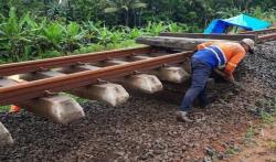 Rel Jalur Selatan Ambles Akibat Hujan, Sejumlah Kereta Api di Stasiun Purwokerto Datang Terlambat