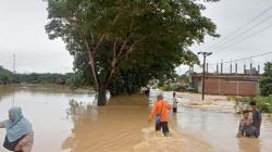 BNPB Sebut 2.436 Orang di Aceh Timur Mengungsi Akibat Banjir