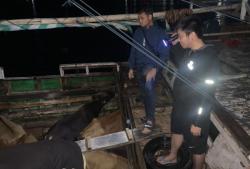 Terduga Pelaku Penyelundupan Sapi di NTT Diancam Hukuman Dua Tahun Penjara