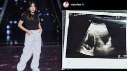 Usia 2 Bulan Janin dalam Kandungan Via Vallen Jantungnya Tak Berdetak, Ini Penjelasan Dokter