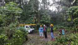 Pohon Besar di Komplek Si Kucing Moga Tumbang, Menutup Seluruh Badan Jalan