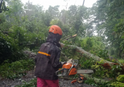 Waspada! Wilayah Gunung Slamet Pemalang Dilanda Cuaca Extrem
