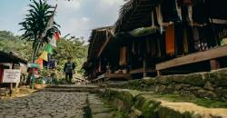 Daun Sakti yang Bikin Suku Baduy Kuat Berjalan Kaki Ratusan Kilometer