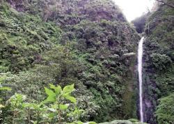 Puluhan Siswa SMK 2 Jember Terjebak di Air Terjun Tancak