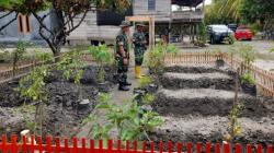 Manfaatkan Pekarangan Rumah, Dandim 1403 Palopo Ajak Warga Tanam Sayur