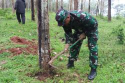 Pangdam III/Siliwangi Tinjau Hasil Uji Coba Produktivitas Karet Dengan Bios 44 DC di PTPN VIII Garut