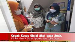 Cegah Kasus Ginjal Akut pada Anak, Dinkes Gresik Sidak Apotek dan Toko Obat