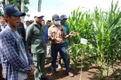 Jadi Petani Milenial Yuk!! Ini Kata Gubernur NTT