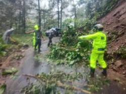 Bencana Alam Tanah Longsor Menutup Badan Jalan di Kecamatan Lebakbarang Pekalongan