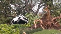 Puluhan Rumah Rusak dan Pohon Tumbang Timpa Kendaraan, Puting Beliung Terjang Sidoarjo