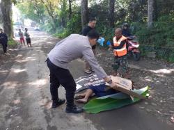 Tabrak Sesama Biker hingga Terjatuh Pengemudi Vario Tewas Tergilas Toyota Rush di Cikembar Sukabumi