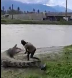 Usai Beri Makan dan Pegang Ekornya Pria Ini Nyaris Diterkam Buaya