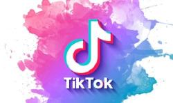 Snaptik Download Video TikTok Tanpa Watermark, Ini Cara Pakainya Super Mudah