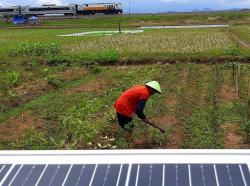 Memanen Cahaya, Petani Cilacap Serahkan Tugas pada Matahari Untuk Mengairi Sawah Tadah Hujan