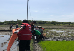 Seorang Warga di Sragen Tewas Kesetrum Jebakan Tikus