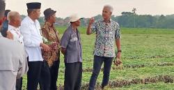 Sulit Dapatkan Pupuk Subsidi, Petani di Brebes Ngadu ke Ganjar