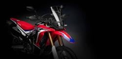 Honda Resmi Luncurkan CRF RALLY 2022