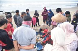 Berburu Ikan Segar Dari Nelayan Tradisional di Pantai Timur Pangandaran